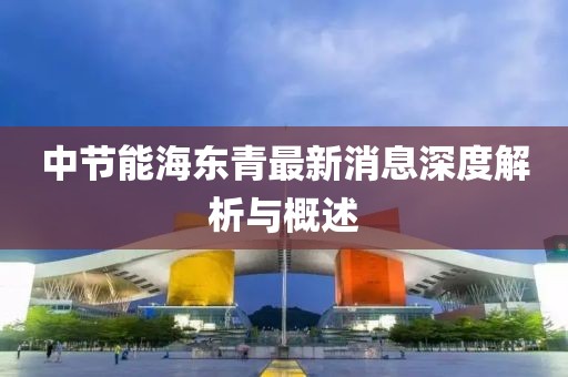 中節(jié)能海東青最新消息深度解析與概述
