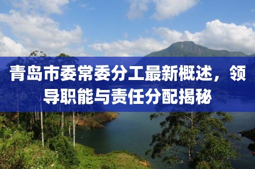 青島市委常委分工最新概述，領(lǐng)導(dǎo)職能與責(zé)任分配揭秘