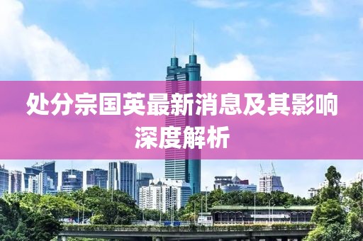 處分宗國英最新消息及其影響深度解析