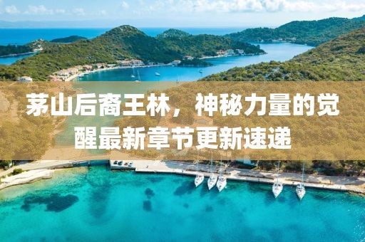 茅山后裔王林，神秘力量的覺醒最新章節(jié)更新速遞