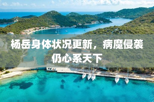 楊岳身體狀況更新，病魔侵襲仍心系天下