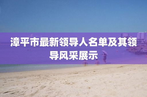 漳平市最新領導人名單及其領導風采展示