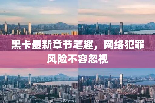 黑卡最新章節(jié)筆趣，網(wǎng)絡(luò)犯罪風(fēng)險不容忽視