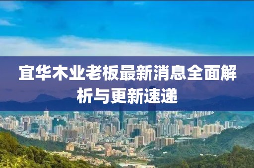 宜華木業(yè)老板最新消息全面解析與更新速遞