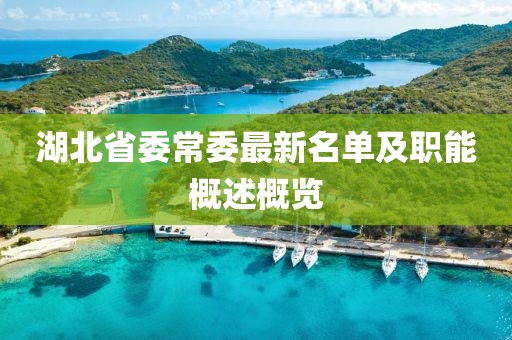 湖北省委常委最新名單及職能概述概覽