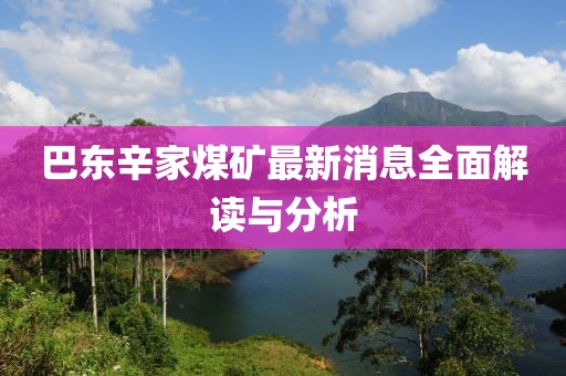 巴東辛家煤礦最新消息全面解讀與分析