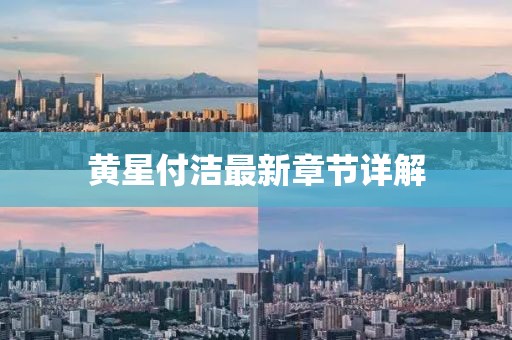 黃星付潔最新章節(jié)詳解