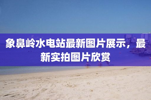 象鼻嶺水電站最新圖片展示，最新實拍圖片欣賞