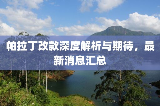 帕拉丁改款深度解析與期待，最新消息匯總