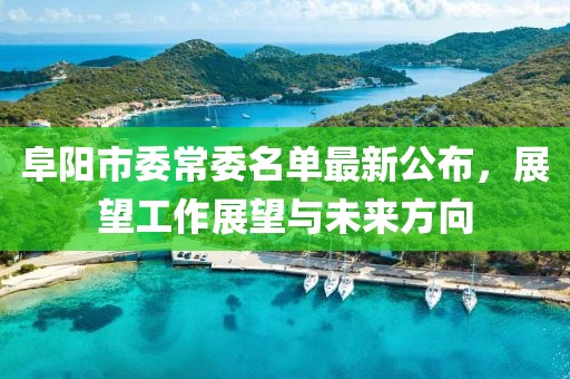 阜陽(yáng)市委常委名單最新公布，展望工作展望與未來(lái)方向