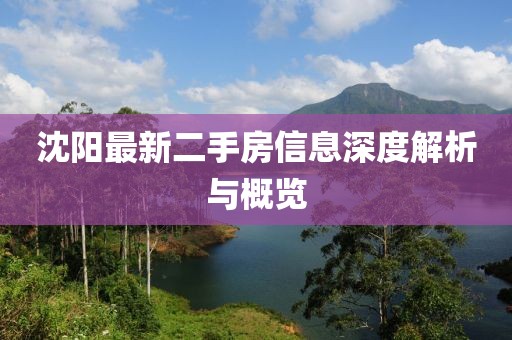 沈陽最新二手房信息深度解析與概覽