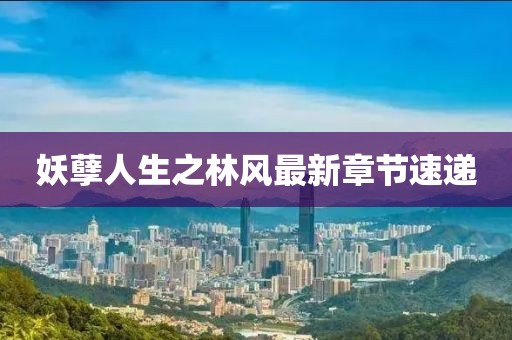 藍(lán)天下頭的女孩 第14頁
