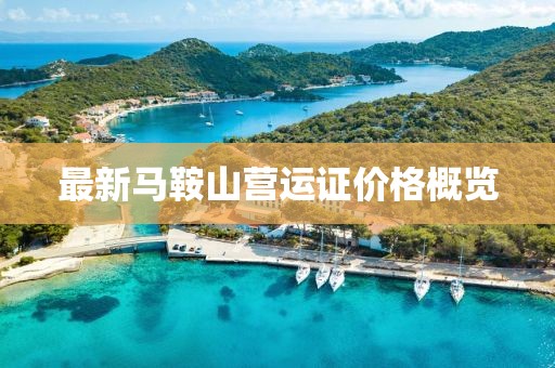 最新馬鞍山營(yíng)運(yùn)證價(jià)格概覽