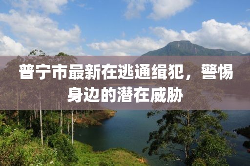 普寧市最新在逃通緝犯，警惕身邊的潛在威脅