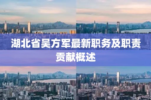 湖北省吳方軍最新職務及職責貢獻概述