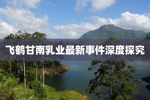 飛鶴甘南乳業(yè)最新事件深度探究