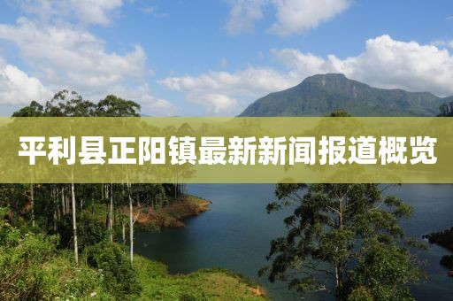 平利縣正陽鎮(zhèn)最新新聞報(bào)道概覽