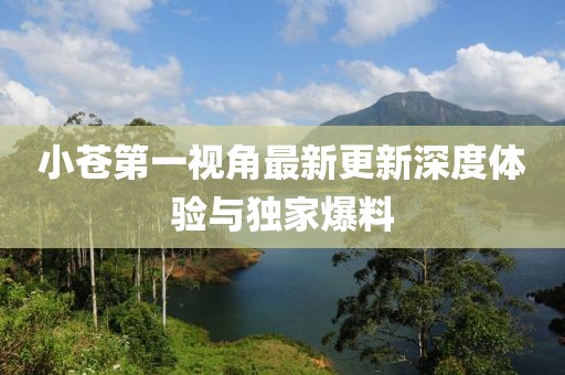 小蒼第一視角最新更新深度體驗(yàn)與獨(dú)家爆料