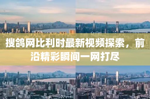 搜鴿網(wǎng)比利時最新視頻探索，前沿精彩瞬間一網(wǎng)打盡