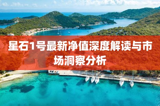 星石1號最新凈值深度解讀與市場洞察分析