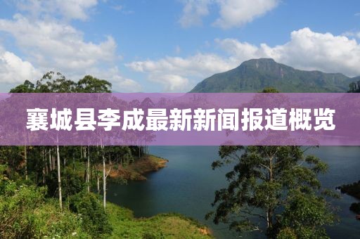 襄城縣李成最新新聞報道概覽