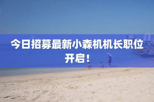 今日招募最新小森機機長職位開啟！