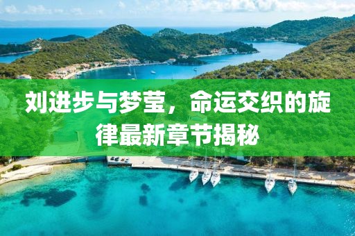 劉進(jìn)步與夢(mèng)瑩，命運(yùn)交織的旋律最新章節(jié)揭秘