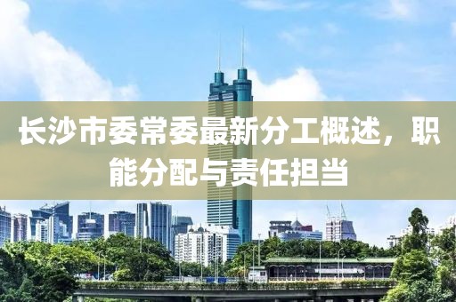 長沙市委常委最新分工概述，職能分配與責(zé)任擔(dān)當(dāng)