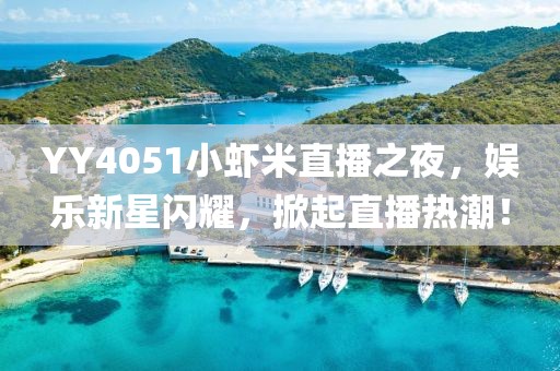 YY4051小蝦米直播之夜，娛樂新星閃耀，掀起直播熱潮！