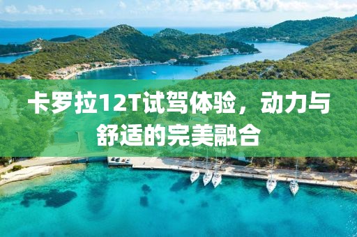 卡羅拉12T試駕體驗(yàn)，動(dòng)力與舒適的完美融合