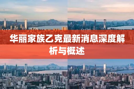 華麗家族乙克最新消息深度解析與概述