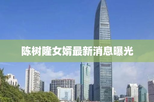 陳樹隆女婿最新消息曝光