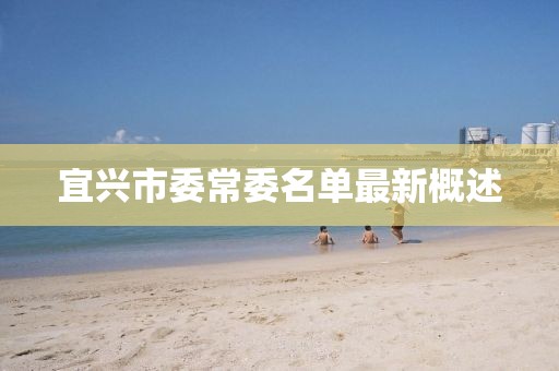 宜興市委常委名單最新概述