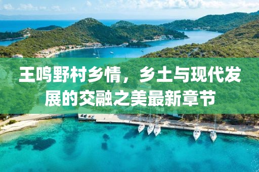王鳴野村鄉(xiāng)情，鄉(xiāng)土與現(xiàn)代發(fā)展的交融之美最新章節(jié)