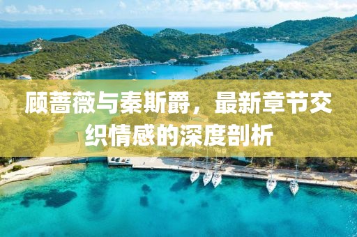 顧薔薇與秦斯爵，最新章節(jié)交織情感的深度剖析