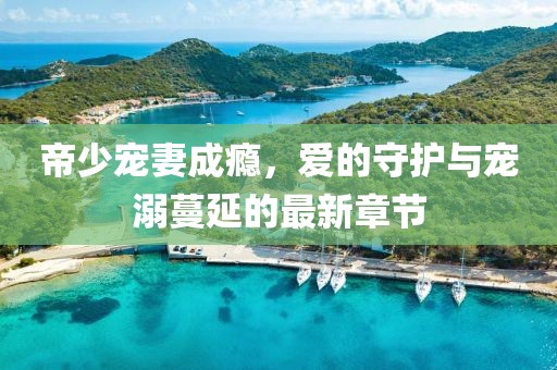 帝少寵妻成癮，愛的守護與寵溺蔓延的最新章節(jié)