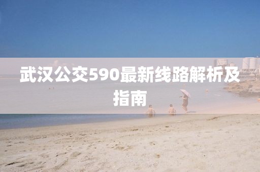 武漢公交590最新線路解析及指南
