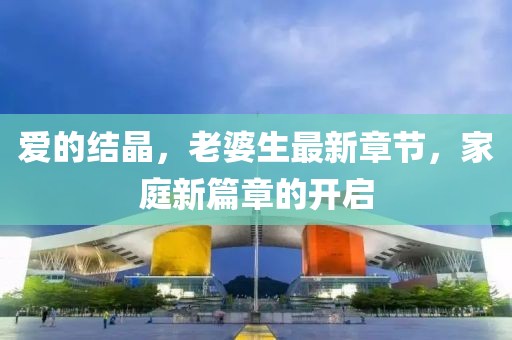 愛的結(jié)晶，老婆生最新章節(jié)，家庭新篇章的開啟