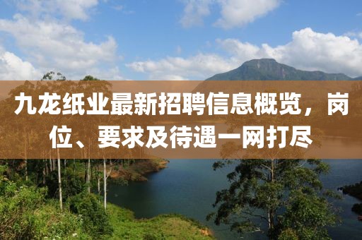 九龍紙業(yè)最新招聘信息概覽，崗位、要求及待遇一網(wǎng)打盡