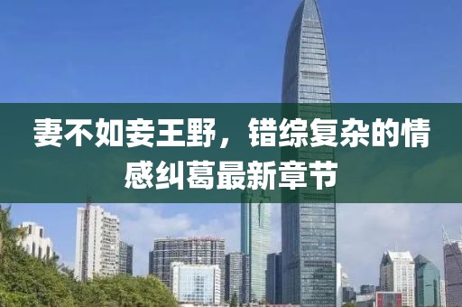 寰鸞 第11頁