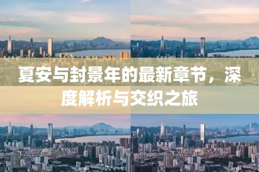 夏安與封景年的最新章節(jié)，深度解析與交織之旅