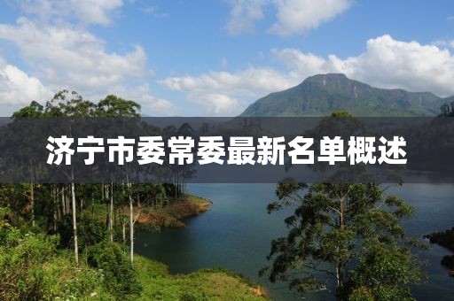 濟(jì)寧市委常委最新名單概述