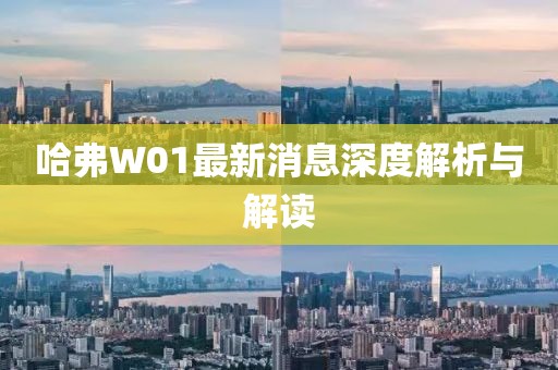 哈弗W01最新消息深度解析與解讀