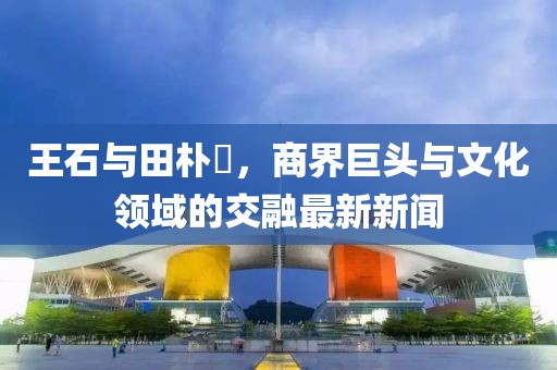 王石與田樸琤，商界巨頭與文化領(lǐng)域的交融最新新聞