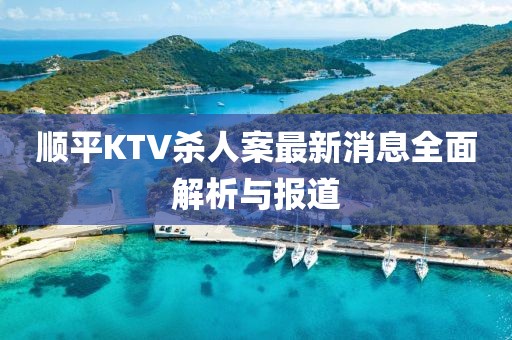 順平KTV殺人案最新消息全面解析與報道