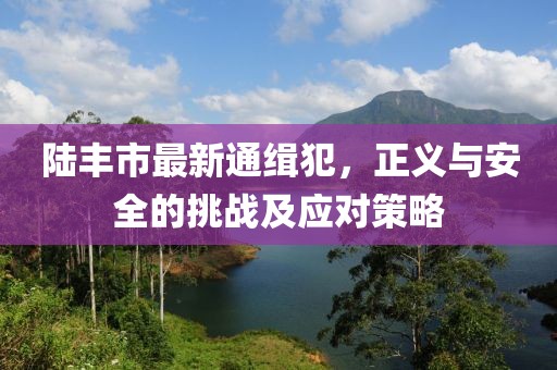 陸豐市最新通緝犯，正義與安全的挑戰(zhàn)及應(yīng)對(duì)策略
