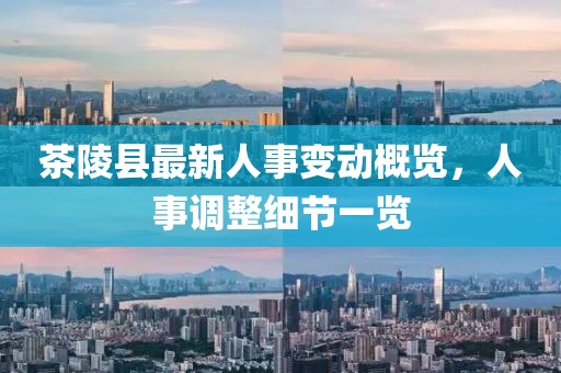 茶陵縣最新人事變動概覽，人事調(diào)整細節(jié)一覽