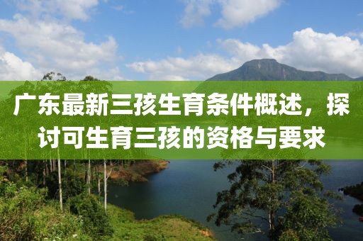 廣東最新三孩生育條件概述，探討可生育三孩的資格與要求