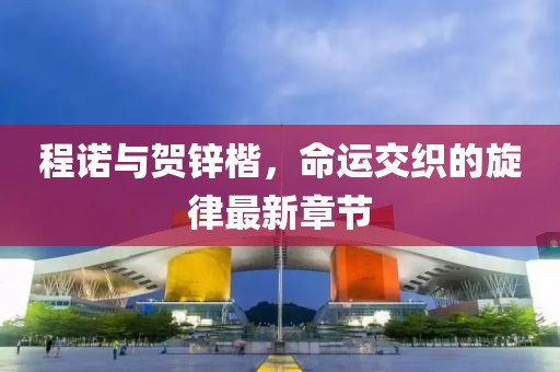程諾與賀鋅楷，命運(yùn)交織的旋律最新章節(jié)
