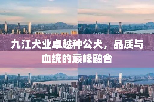 九江犬業(yè)卓越種公犬，品質(zhì)與血統(tǒng)的巔峰融合